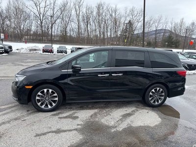 2024 Honda Odyssey EX-L