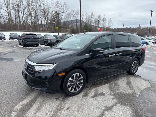 2024 Honda Odyssey EX-L